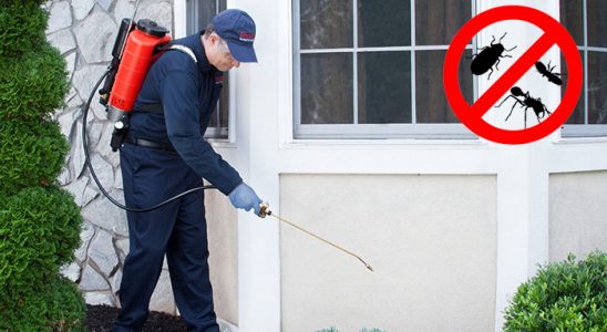 Aksaray Gümüşkurt İlaçlama böcek ilaçlama ve haşere kontrolü — ilaclama-tr.com